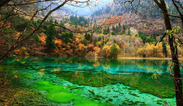 Турагенты составили топ‑5 живописнейших мест для россиян в безвизовом Китае